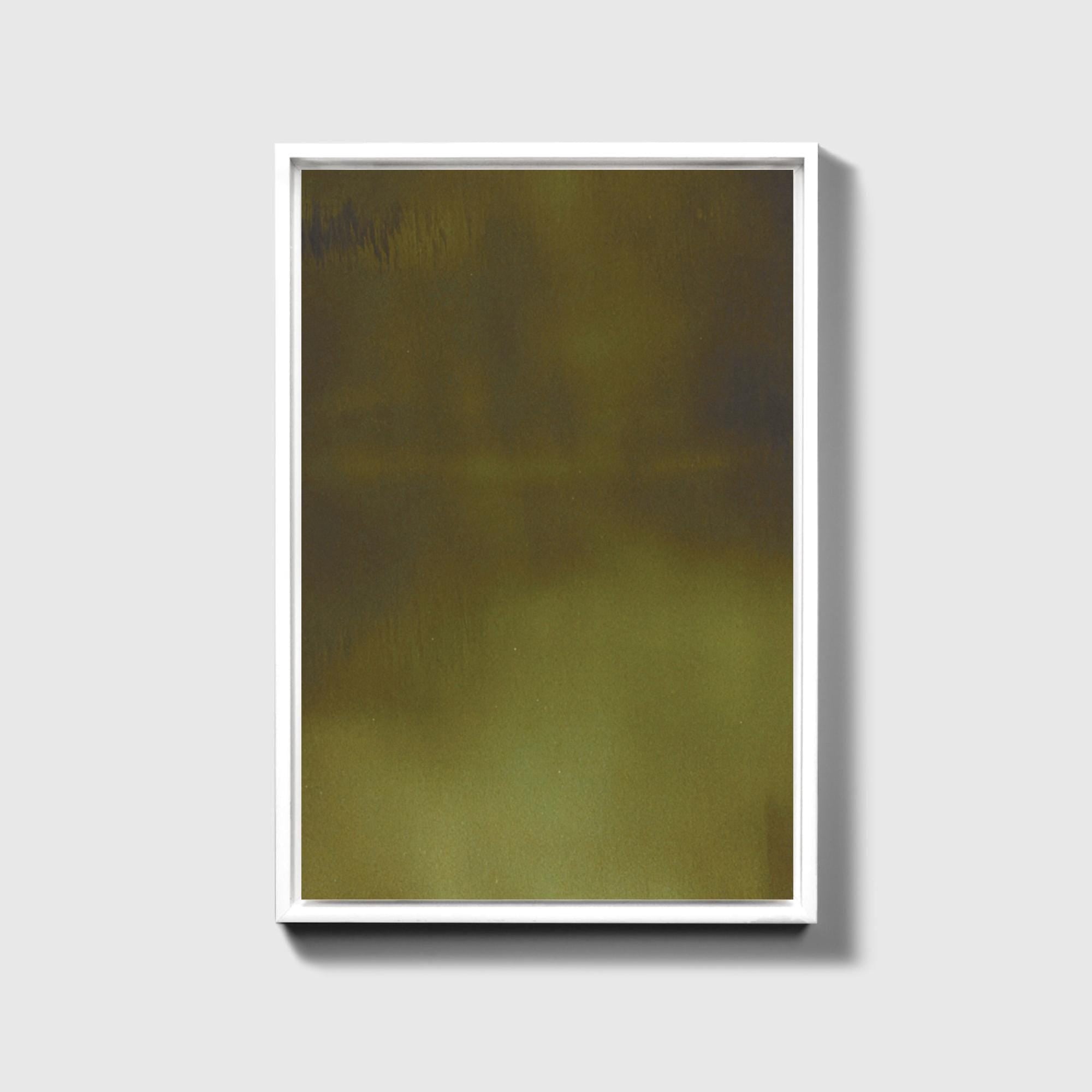 Olive Moss Canvas