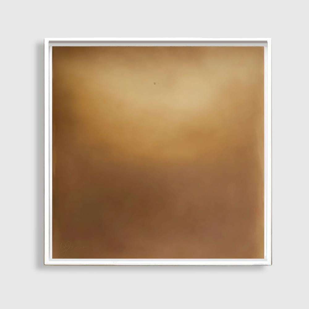 Warm Bronze Canvas