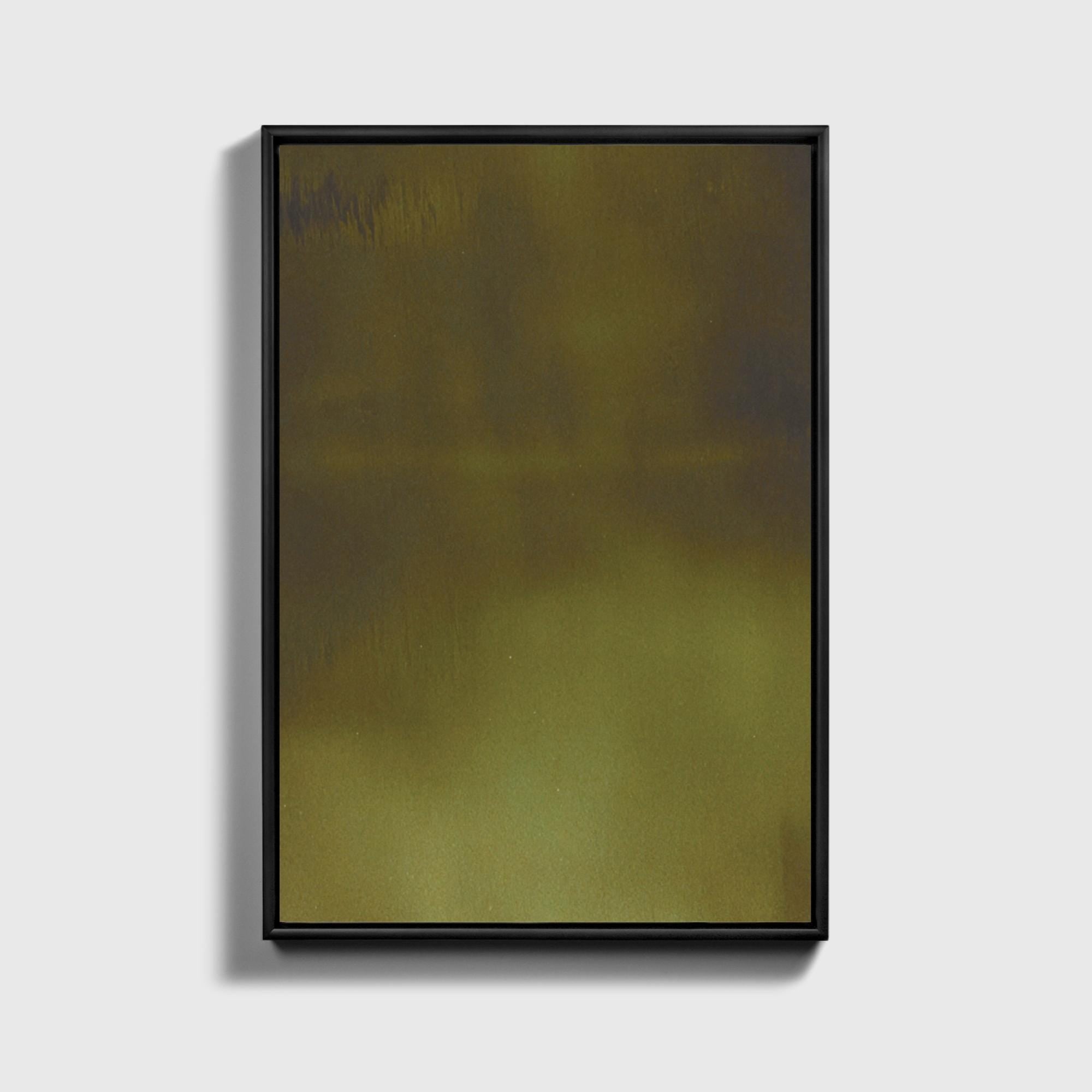 Olive Moss Canvas