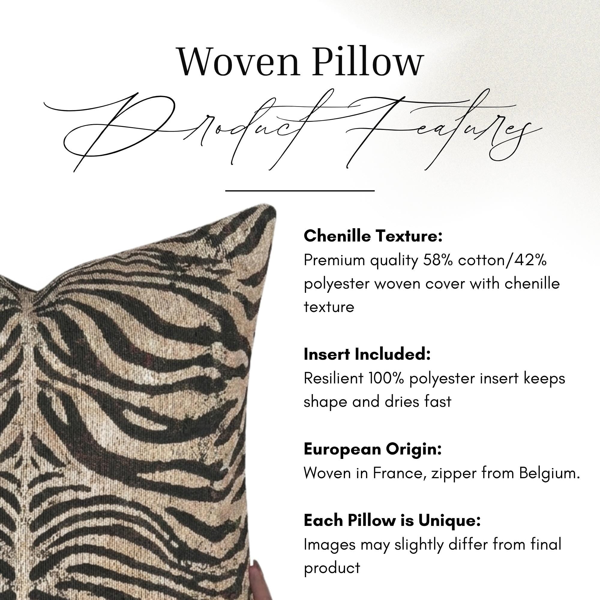 Wild Stripes Woven Pillow