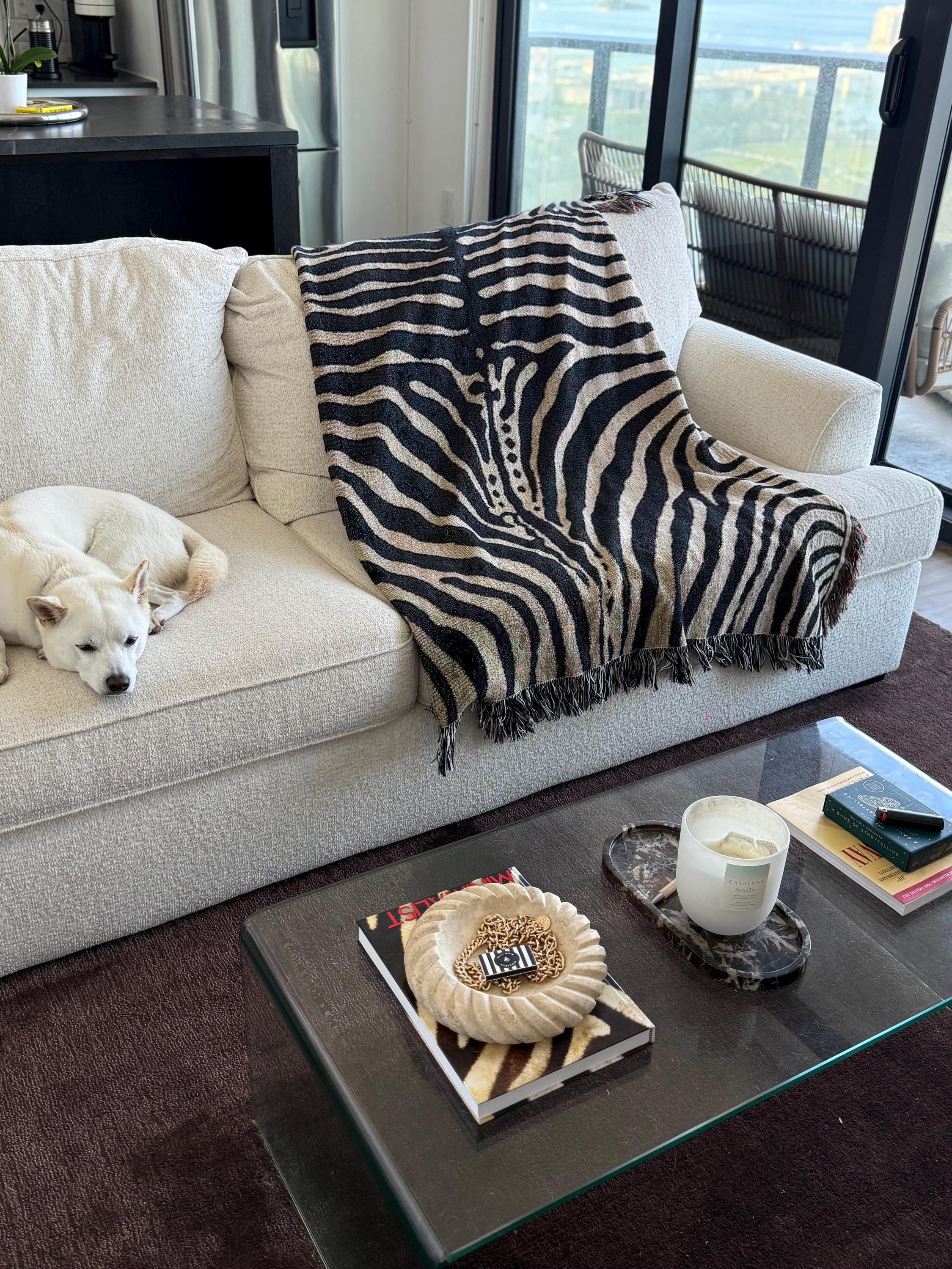 Zebra Stripe Woven Throw Blanket