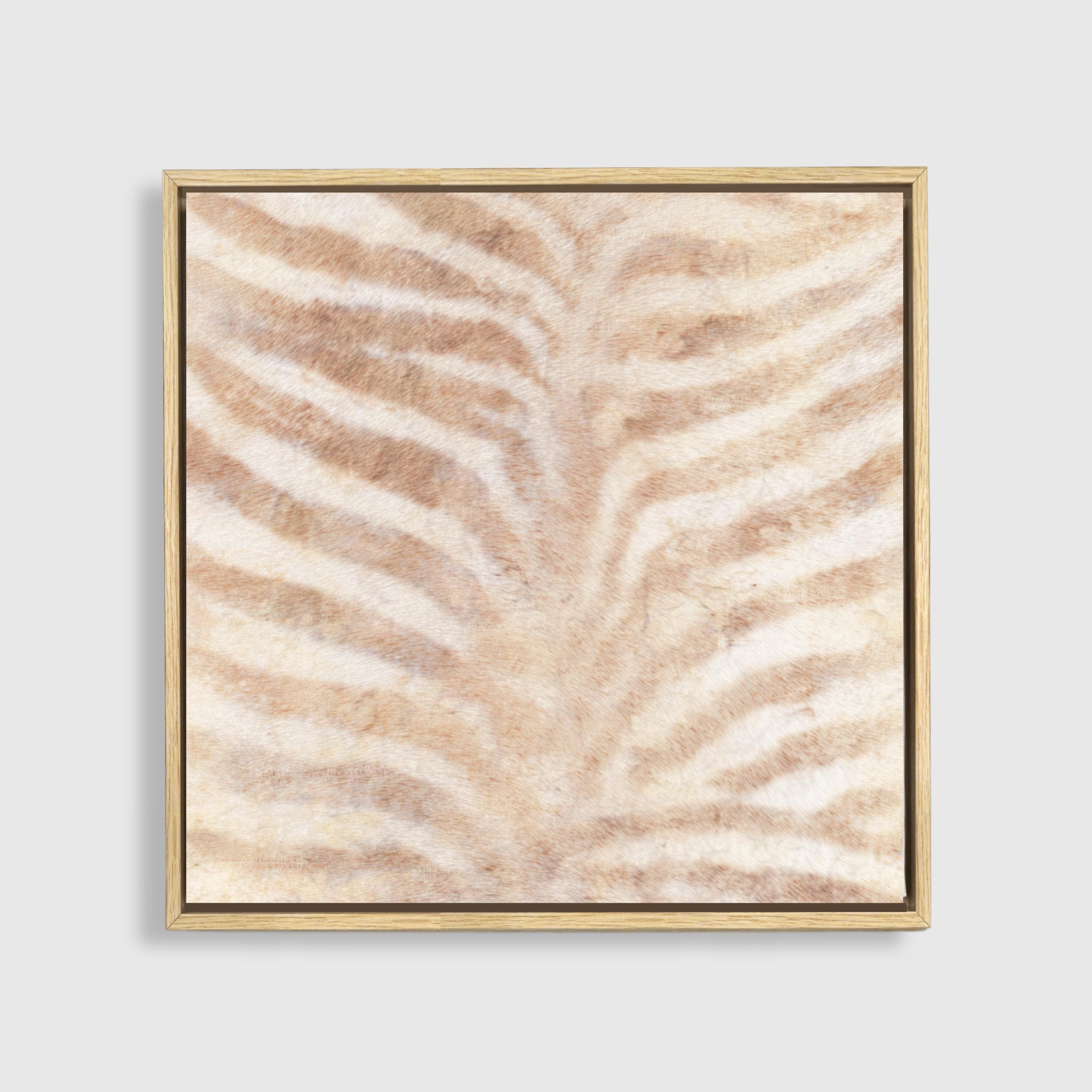 Soft Stripes Zebra Canvas